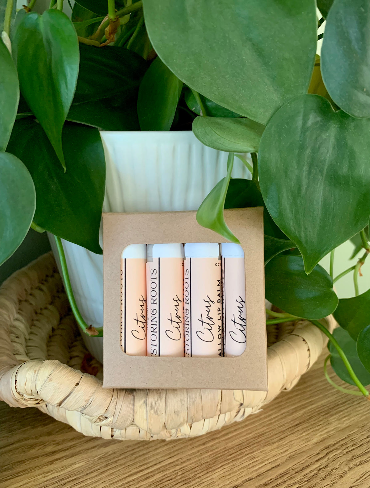 Tallow Lip Balm Pack